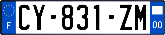 CY-831-ZM