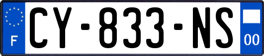 CY-833-NS