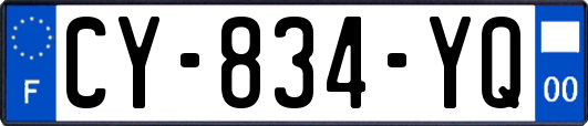 CY-834-YQ