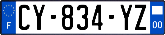 CY-834-YZ