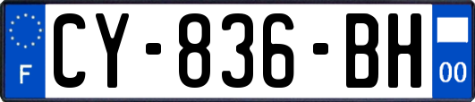 CY-836-BH