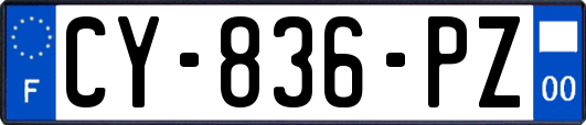 CY-836-PZ