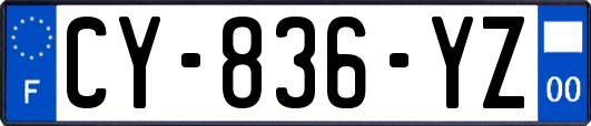 CY-836-YZ