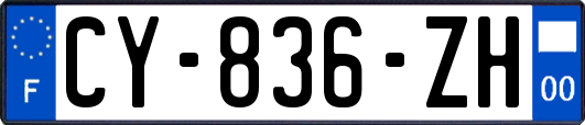 CY-836-ZH