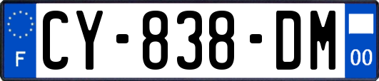CY-838-DM