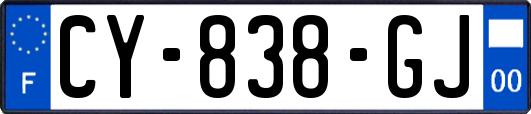 CY-838-GJ