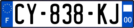 CY-838-KJ