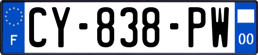 CY-838-PW