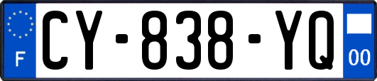 CY-838-YQ