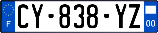 CY-838-YZ