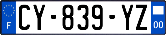 CY-839-YZ