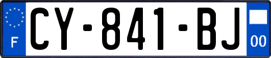 CY-841-BJ