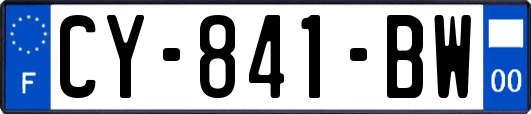 CY-841-BW