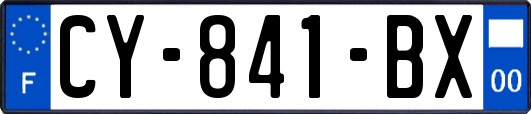 CY-841-BX