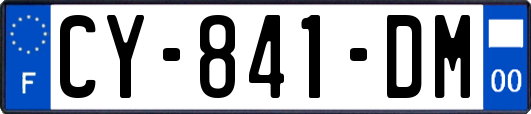 CY-841-DM