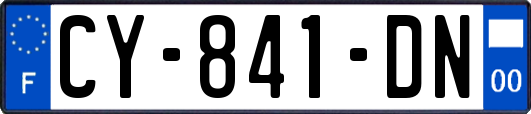 CY-841-DN