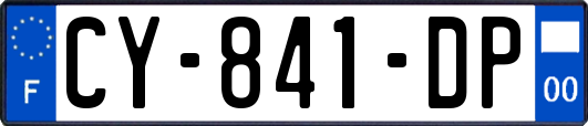 CY-841-DP