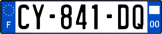 CY-841-DQ