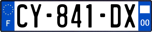 CY-841-DX