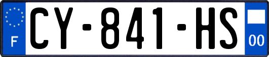 CY-841-HS