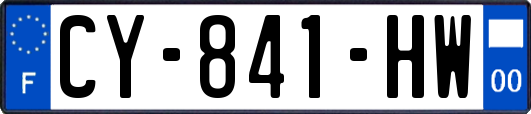 CY-841-HW