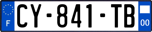 CY-841-TB