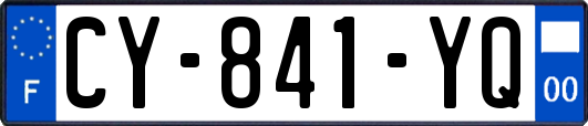 CY-841-YQ