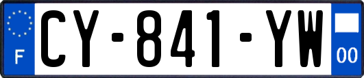 CY-841-YW