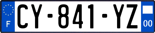 CY-841-YZ