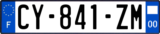 CY-841-ZM