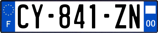 CY-841-ZN