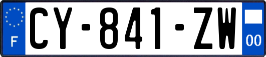 CY-841-ZW
