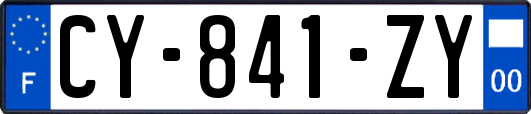 CY-841-ZY