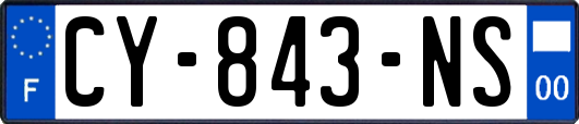 CY-843-NS