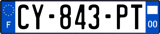 CY-843-PT