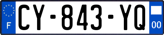 CY-843-YQ