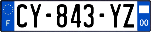 CY-843-YZ