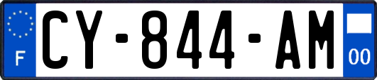 CY-844-AM
