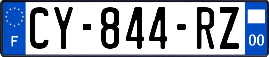 CY-844-RZ