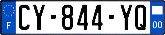 CY-844-YQ