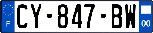 CY-847-BW