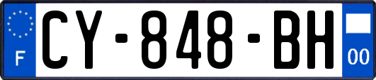 CY-848-BH