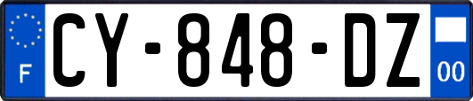 CY-848-DZ