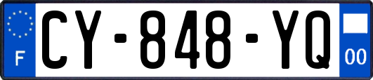 CY-848-YQ