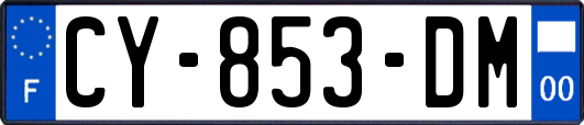CY-853-DM