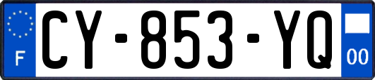 CY-853-YQ