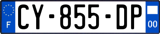 CY-855-DP