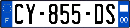 CY-855-DS
