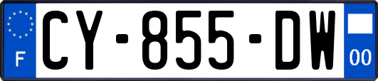 CY-855-DW