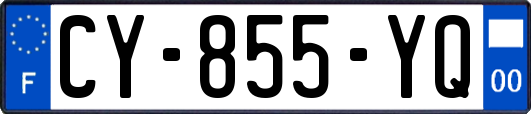 CY-855-YQ